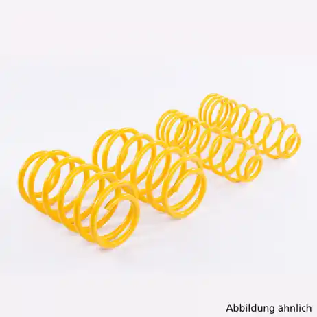 Buy Online ST Suspension Lowering Springs - A4 B9 2WD