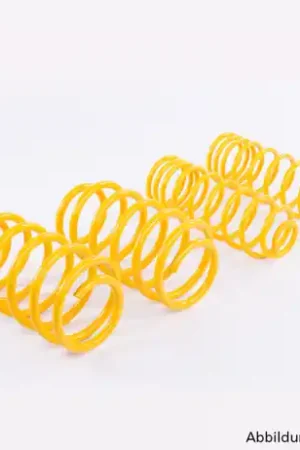 ST Suspension Lowering Springs - Arteon Order Now