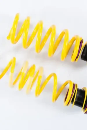 Express Delivery KW H.A.S. 2018 BMW M5 F90 (F5LM) — PMD Premier Motoring Development