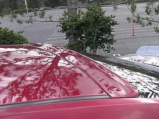 Flash Sale Ford Mustang Street Scene Rear Window Roof Spoiler - Generation 1 - 950-70771