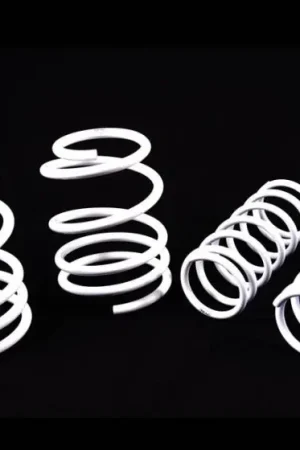 Subaru WRX Agency Power Racing Springs - AP-GH-270 High Quality