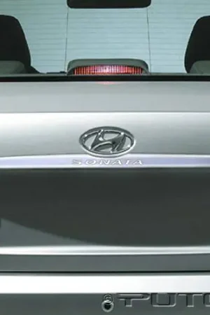 Direct From Factory Hyundai Sonata Putco Chrome Rear Accent - 408609