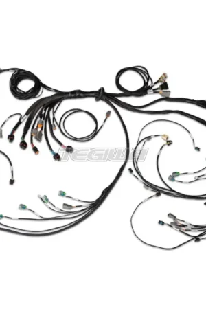 Haltech Nexus R5 LSx DBW Terminated Harness - DBW ready Order Now