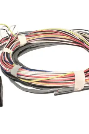 FAST Wiring Harness FAST Universal Hot Deal