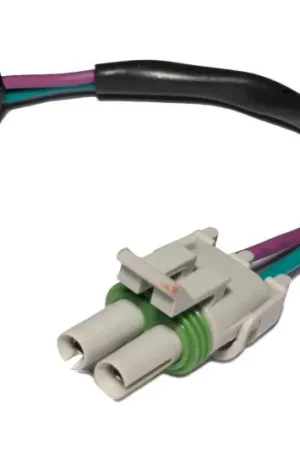 Hot Picks FAST Wiring Harness FAST MSD 2 Pin