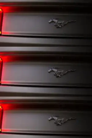 Diode Dynamics 10-21 Ford Mustang Sequencer (USDM) (Pair) Professional Grade