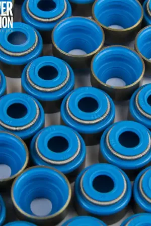 One Day Deal GSC P-D Subaru FA20 Viton 6mm Valve Stem Seal Set