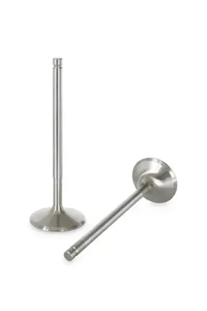 Ferrea Ferrea Intake Valve Set (Evo 1/4/8/9) Express Delivery