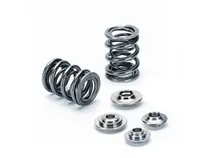 Supertech Toyota 2JZ Dual Valve Spring Kit Instant Buy