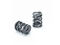 Supertech Toyota 2JZ Dual Valve Spring Kit- (24)SPR-TS1009 + (24)RET-TS60/T1-2 Order Now