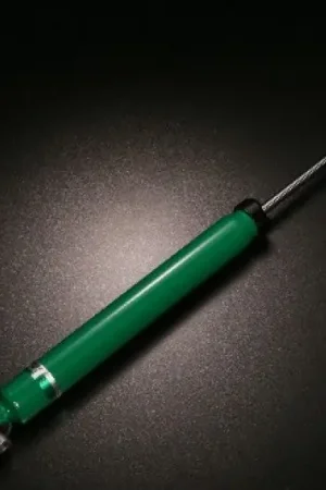 Reduced Price Tein 17-20 Audi A4/A4 Quattro (B9) Rear EnduraPro Plus Shock