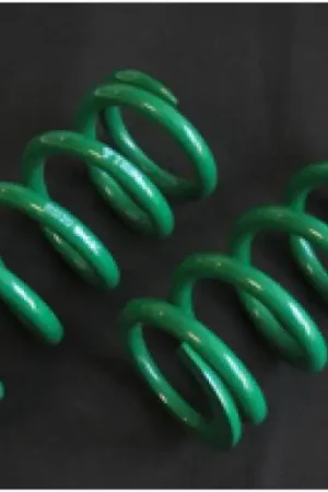 Fast Shipping Tein Coilover Racing Spring I.D. 58mm Spring Rate 16kg/mm (pair) - Rear