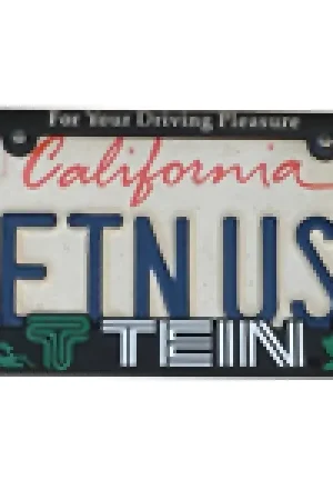 Tein License Plate Frame High Quality