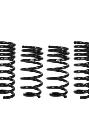 Place Order Eibach Pro-System Kit for 11-14 Chrysler 300C 2WD, V8 (Exc AWD, SRT-8 S/LEV)